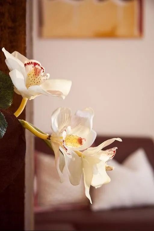 Appartements Fliana Mathon/이스크글 아파트